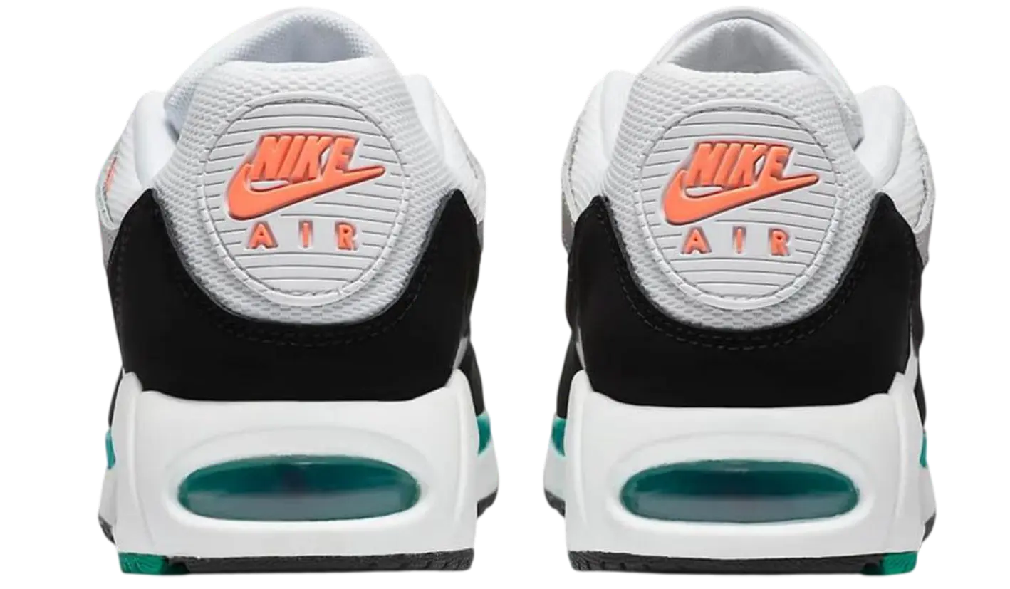 511417 136 - image 2