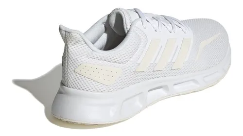 Showtheway 2 - image 2