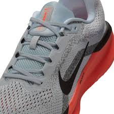 WINFLO 11 - image 2