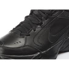 AIR MONARCH - image 3