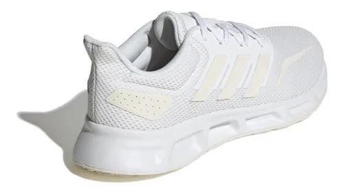 Showtheway 2 - image 2