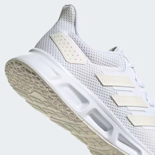 Showtheway 2 - image 3