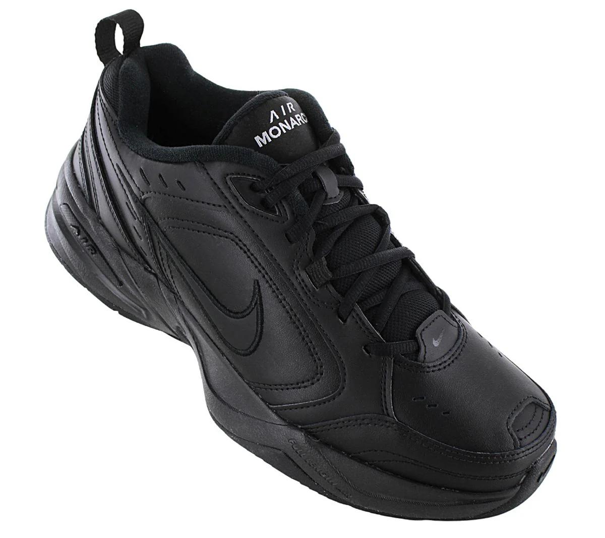 AIR MONARCH - image 2